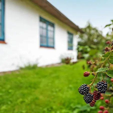 Clausina - 600m From The Sea By Interhome Casa vacanze Bredebro