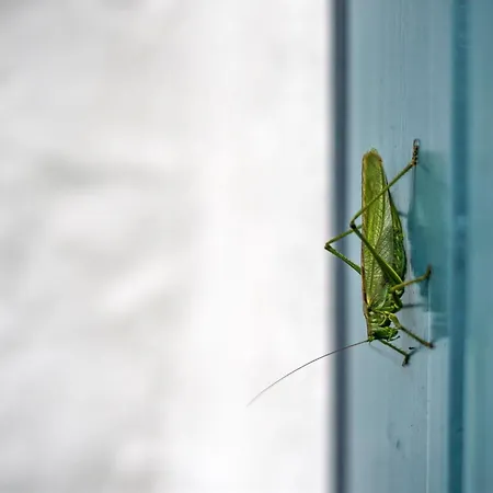 Clausina - 600m From The Sea By Interhome Casa vacanze Bredebro