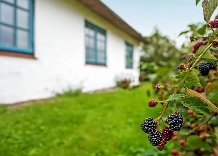 Clausina - 600m From The Sea By Interhome Holiday home Bredebro