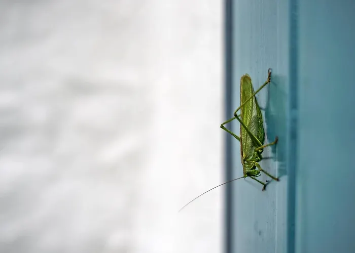 Clausina - 600m From The Sea By Interhome Casa vacanze Bredebro